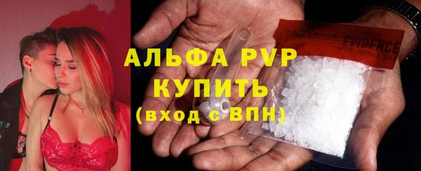 бошки Белокуриха