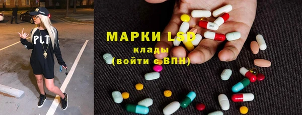 бошки Белокуриха