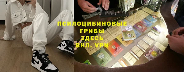 бошки Белокуриха