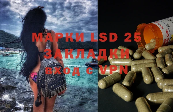 бошки Белокуриха
